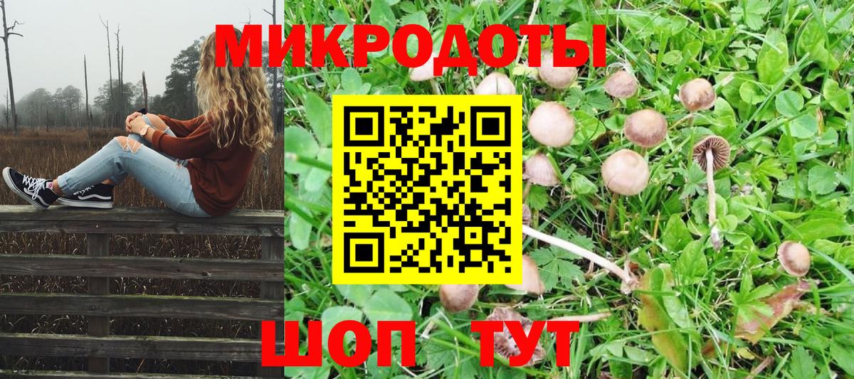 Галлюциногенные грибы Psilocybine cubensis Тара