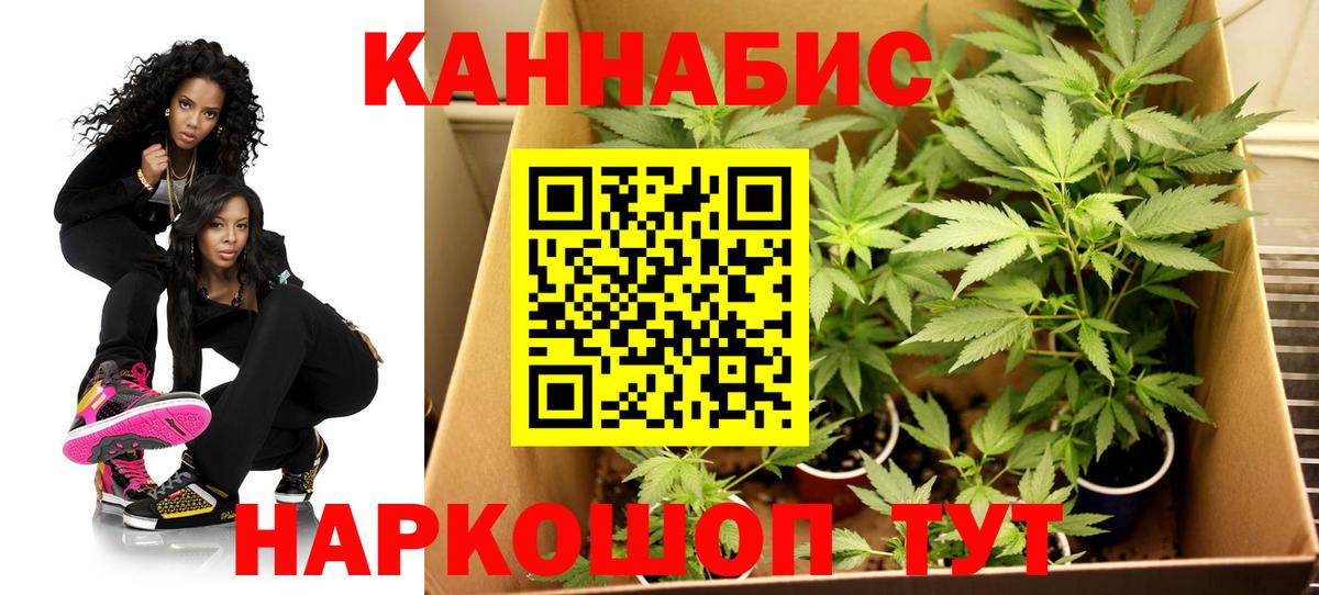 Бошки марихуана сатива  Вход с VPN  Шишки марихуана индика  Бошки Шишки THC 21%  Канабис марихуана  Тара 